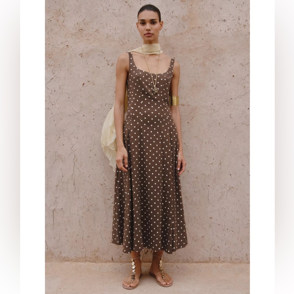 Zara Brown Polka Dot Midi Dress